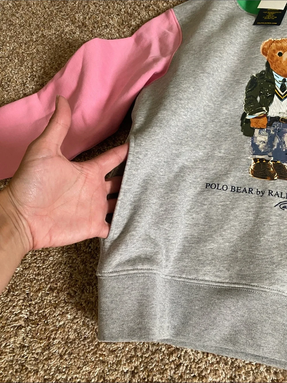 Ralph Lauren Kids Polo Bear Hoodie in Gray with Pink, Blue & Green